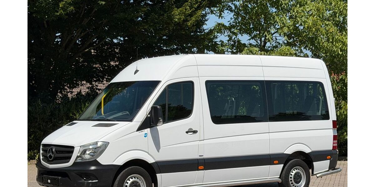 Mercedes-Benz Sprinter 198.628 km 15.900 &euro; Bad Bentheim 48455