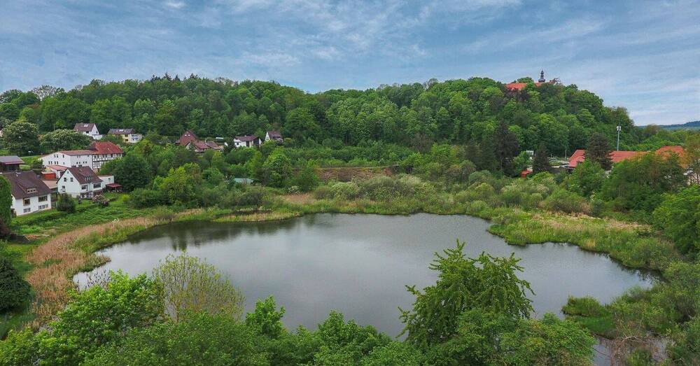 Mehrfamilienhaus, Wohnhaus Herzberg - 1 Zimmer, 285 m&sup2;, 239.000&euro; | Angebot:26570415