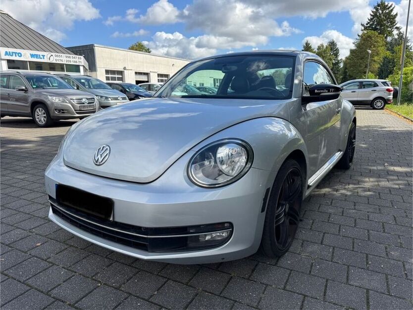 Beetle