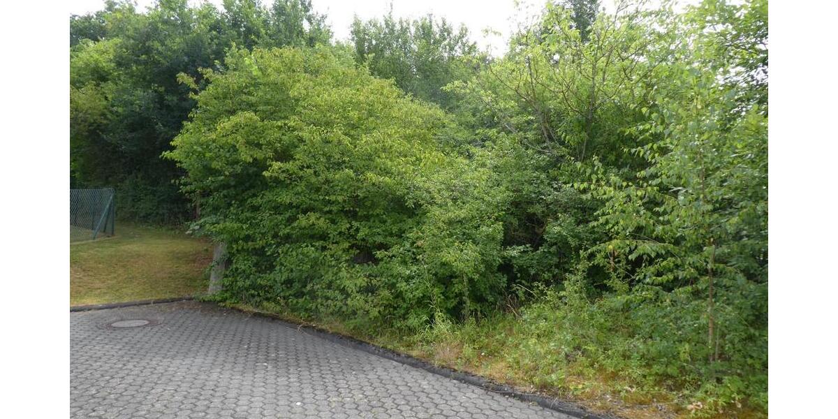 Sonniges ruhig gelegenes Baugrundstück in schöner Randlage Trier-Feyen-Grafschaft - Grundstück Trier Feyen-Weismark | Angebot:26994614
