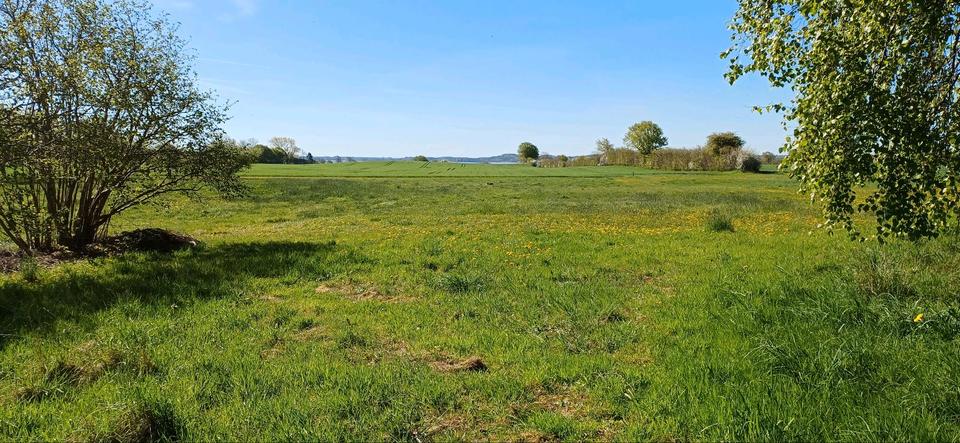 Einfamilienhaus Brodersby-Goltoft Goltoft - 9 Zimmer, 179 m&sup2;, 748.000&euro; | Angebot:27151478