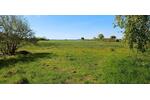 Einfamilienhaus Brodersby-Goltoft Goltoft - 9 Zimmer, 179 m&sup2;, 748.000&euro; | Angebot:27151478