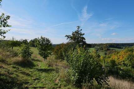 Grundstück Büren - 70.000&euro; | Angebot:23011426