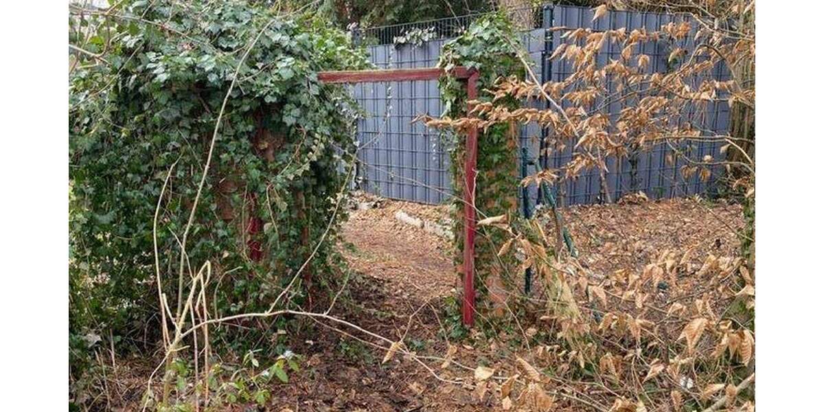 Doppelhaushälfte Steinheim - 5 Zimmer, 91 m&sup2;, 125.000&euro; | Angebot:24874634