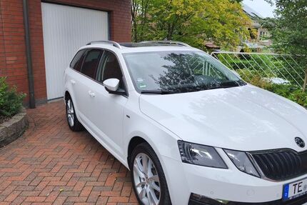 Skoda Octavia 96.110 km 17.900 € Saerbeck 48369