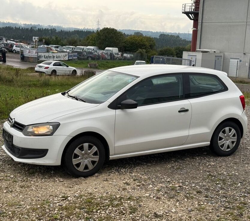 Polo