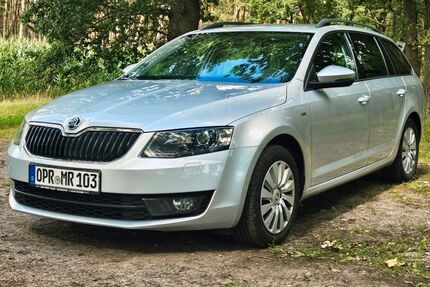 Skoda Octavia 238.964 km 9.300 &euro; Gnewikow 16818