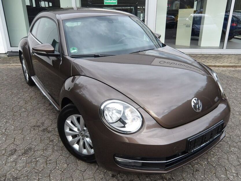 Beetle