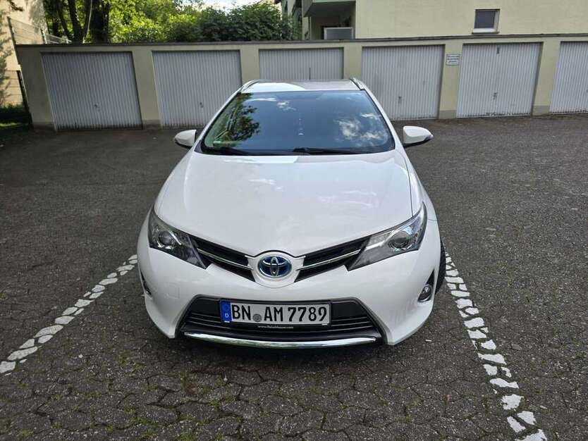 Auris
