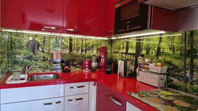 PANORAMA-PERLE IM HEILKLIMATISCHEN KURORT - Etagenwohnung Lenzkirch | Angebot:26421191