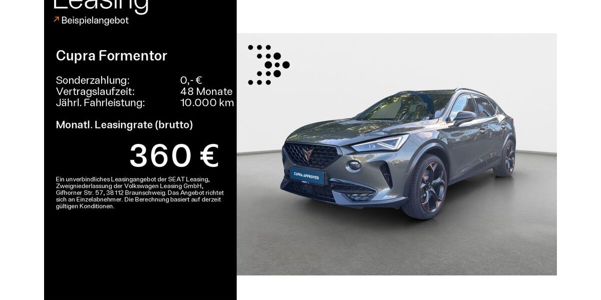 Cupra Formentor 80.206 km 27.480 &euro; Königstein 61462