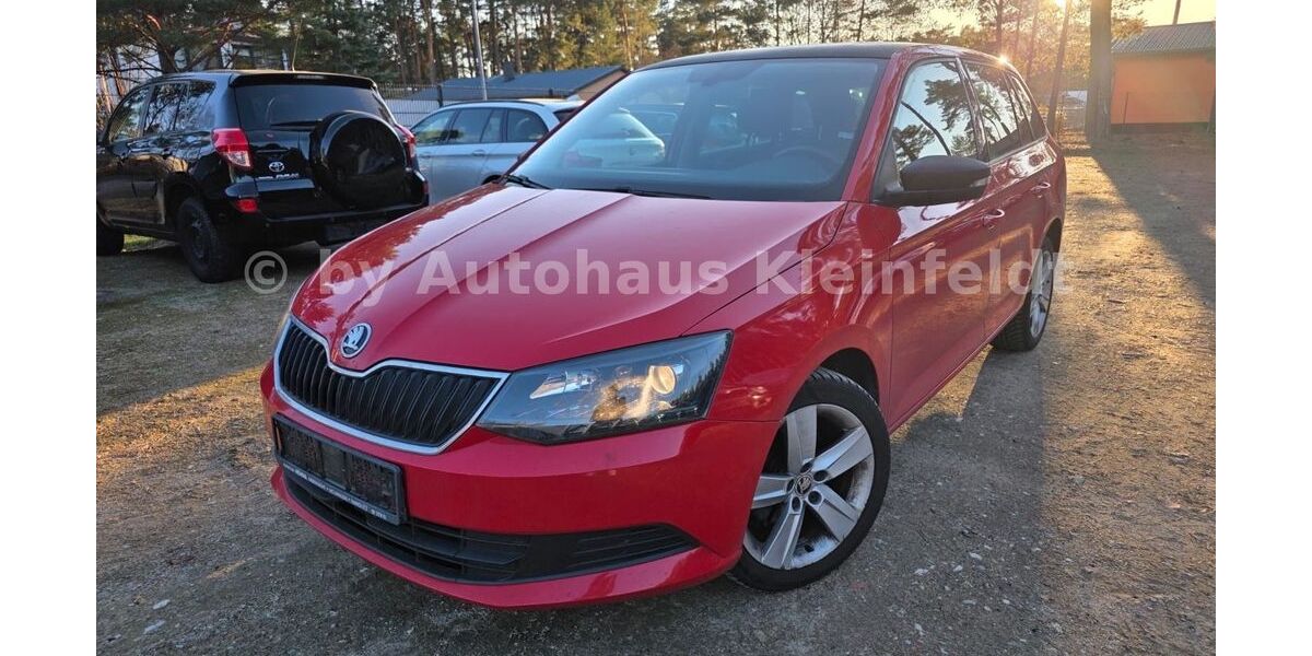 Skoda Fabia 208.584 km 5.290 &euro; Borkheide 14822