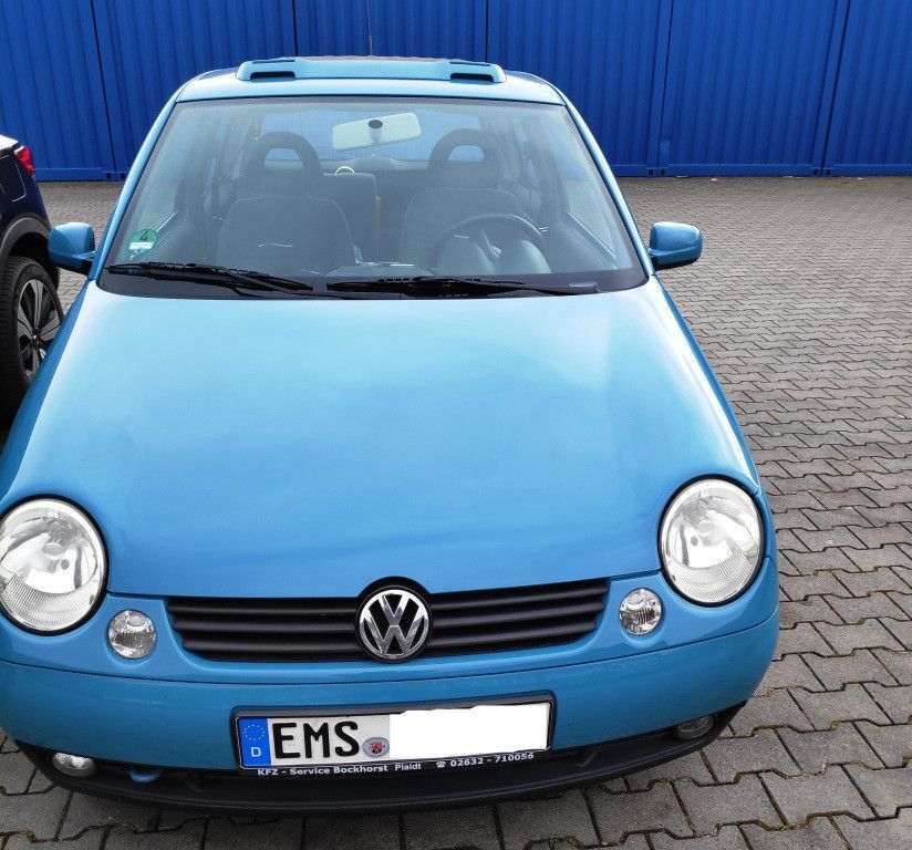 Lupo