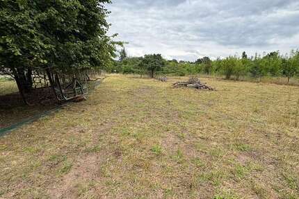 Grundstück Lohr am Main - 33.000&euro; | Angebot:27018725