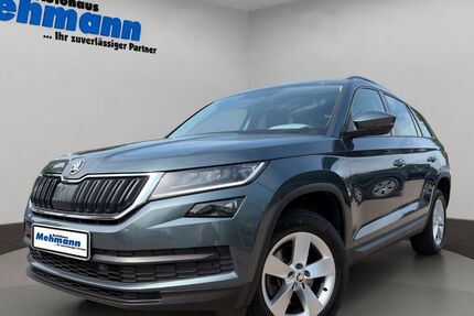 Skoda Kodiaq 71.983 km 24.990 &euro; Berge 49626