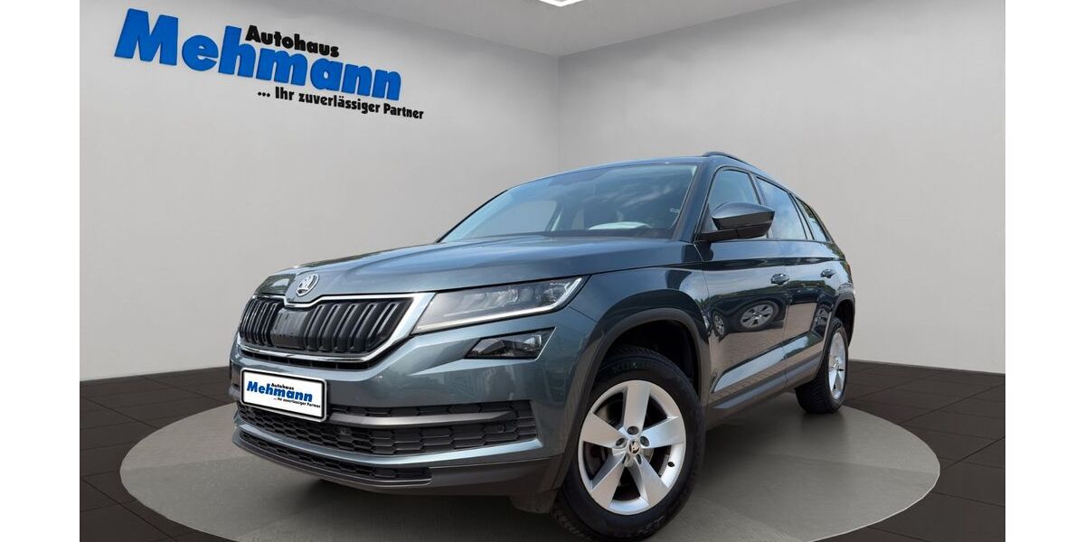 Skoda Kodiaq 71.983 km 24.990 &euro; Berge 49626