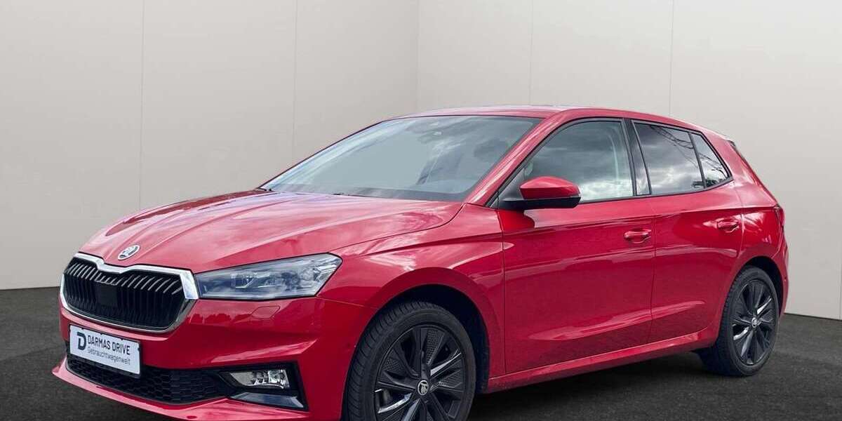 Skoda Fabia 13.728 km 21.990 &euro; Datteln 45711