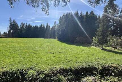 Grundstück Roßhaupten - 28.000&euro; | Angebot:25921141