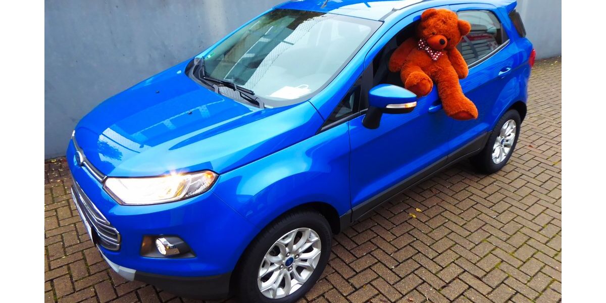Ford EcoSport 47.600 km 10.915 &euro; Kreuztal-Krombach 57223