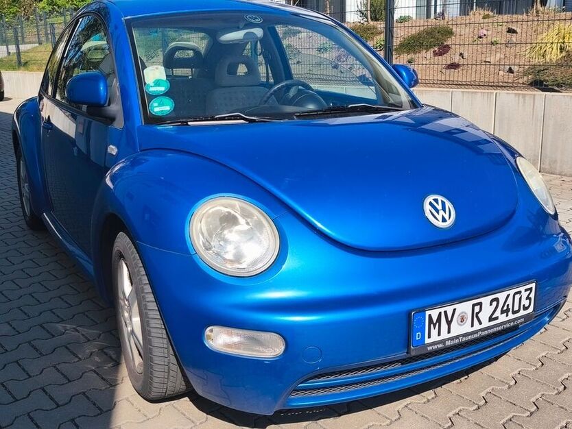 Beetle
