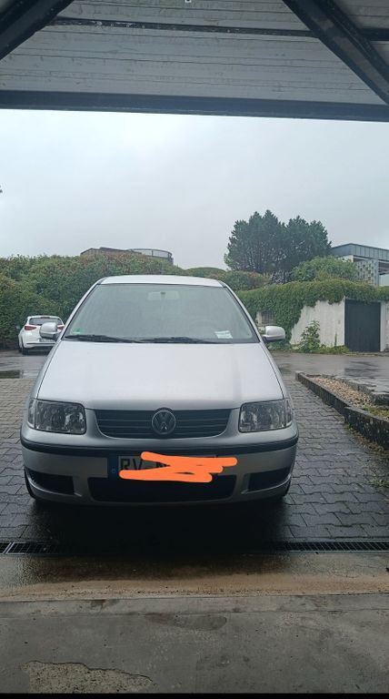Polo