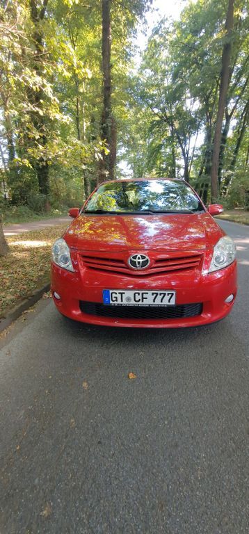 Auris