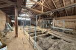 Gewerbeobjekt Bassum - 750&euro; | Angebot:26226304