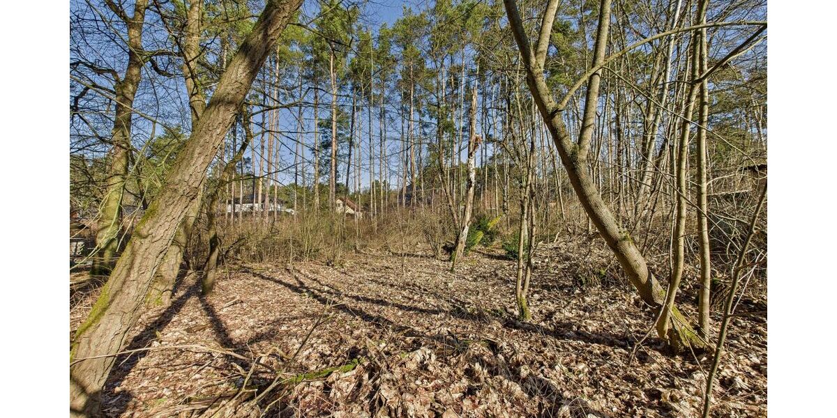 Baugrundstück in kleiner Siedlung - umgeben von Wald und Wiesen - nahe der Spree - Grundstück Grünheide (Mark) | Angebot:25943955
