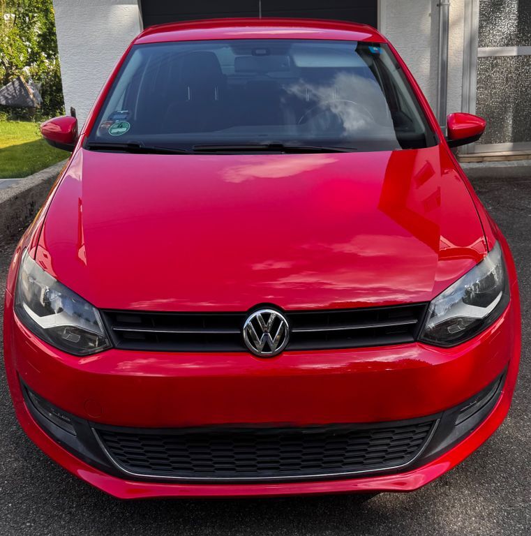 Polo