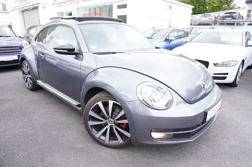 Beetle