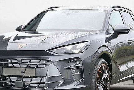 Cupra Terramar 6.000 km 46.820 &euro; Landshut 84032