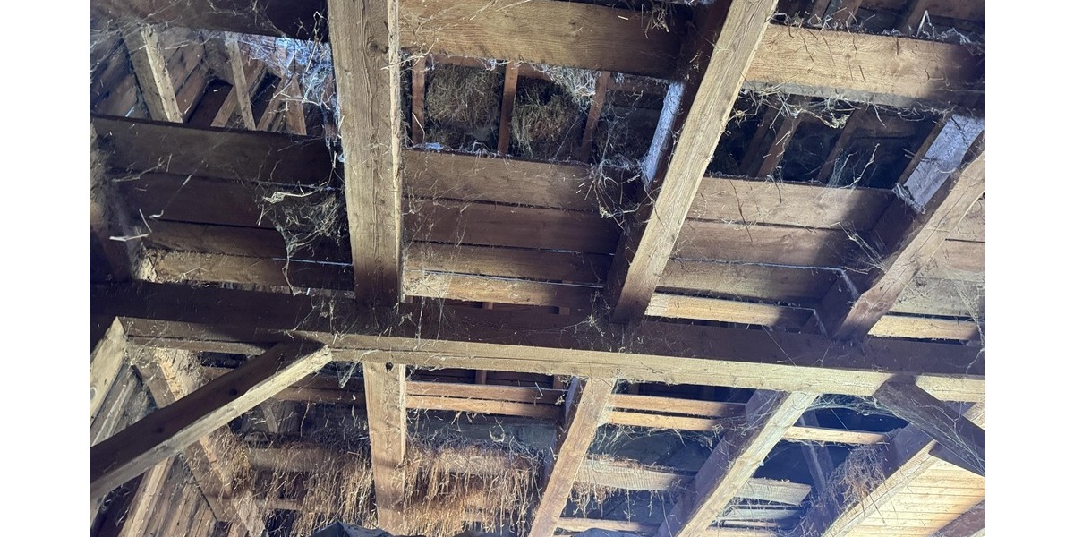 5260m² Großes Grundstück - bebaut mit Scheune und Werkstatt - Wald und Wiese! zimmer