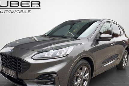 Ford Kuga 70.390 km 21.790 € Bodenkirchen 84155