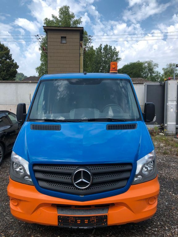 Sprinter