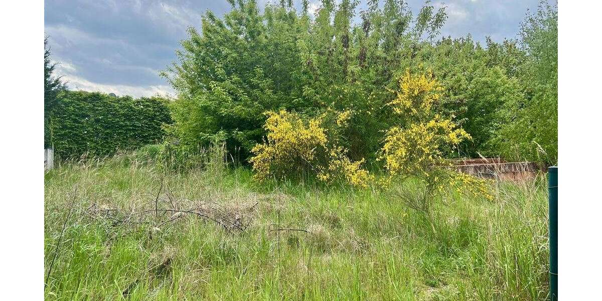 Grundstück Wischer Wischer - 79.999&euro; | Angebot:25689341