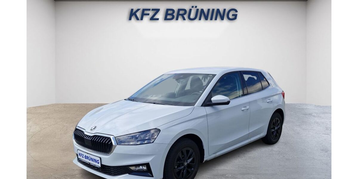 Skoda Fabia 11.749 km 16.980 &euro; Lingen (Ems) 49811
