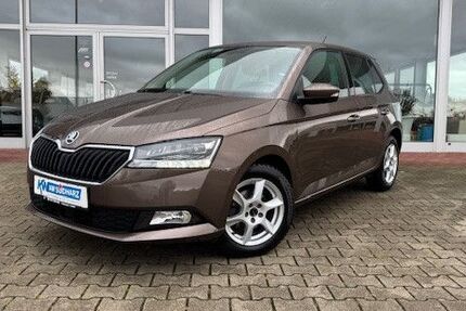 Skoda Fabia 34.540 km 13.970 € Walbeck 06333