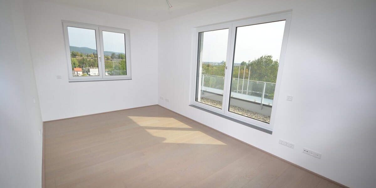 Eine traumhafte, lichtdurchflutete Penthouse-Wohnung mitten in den Weinbergen. - Einfamilienhaus Neustadt an der Weinstraße Hambach | Angebot:25449458