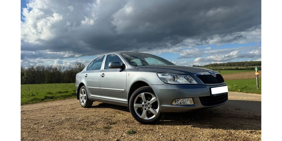 Skoda Octavia 205.000 km 5.500 &euro; Meinheim 91802