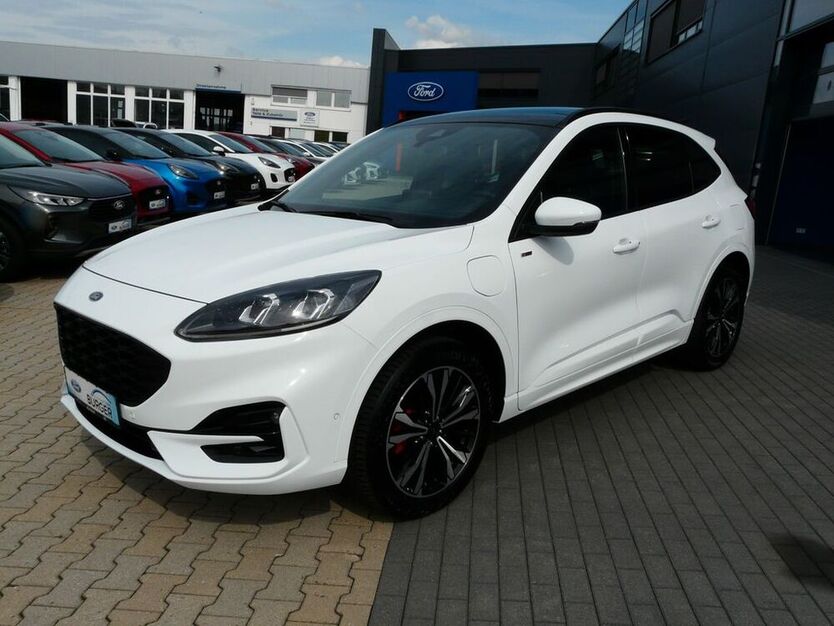 Kuga