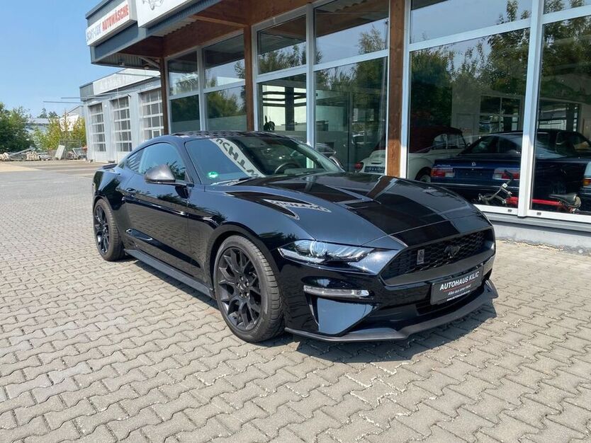Mustang