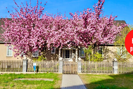 HORN IMMOBILIEN + großzügiges und elegantes Einfamilienhaus mit Einliegerwohnung und Garage in Gartz 8 zimmer