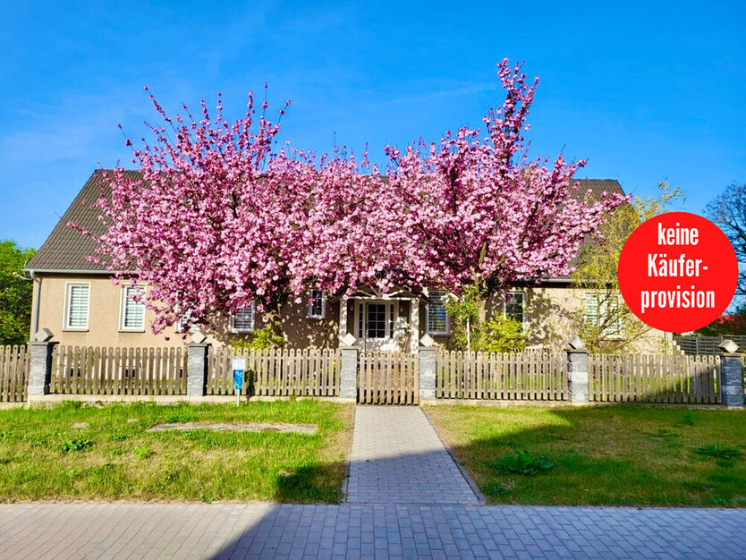 HORN IMMOBILIEN + großzügiges und elegantes Einfamilienhaus mit Einliegerwohnung und Garage in Gartz 8 zimmer