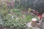 Etagenwohnung Schöneiche bei Berlin - 3 Zimmer, 69 m&sup2;, 1.025&euro; | Angebot:26660187