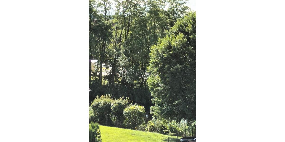 Einfamilienhaus Würzburg - 2 Zimmer, 45 m&sup2;, 139.000&euro; | Angebot:26429501