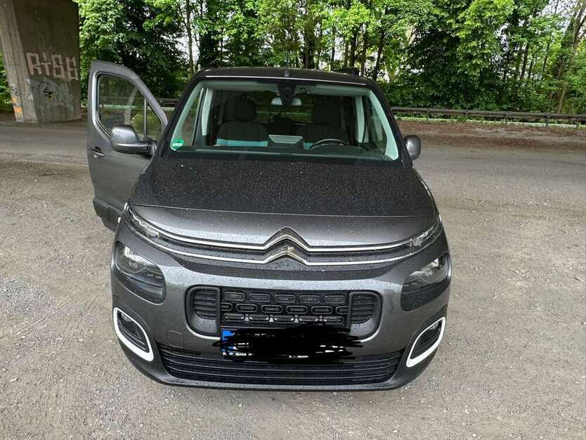 Berlingo