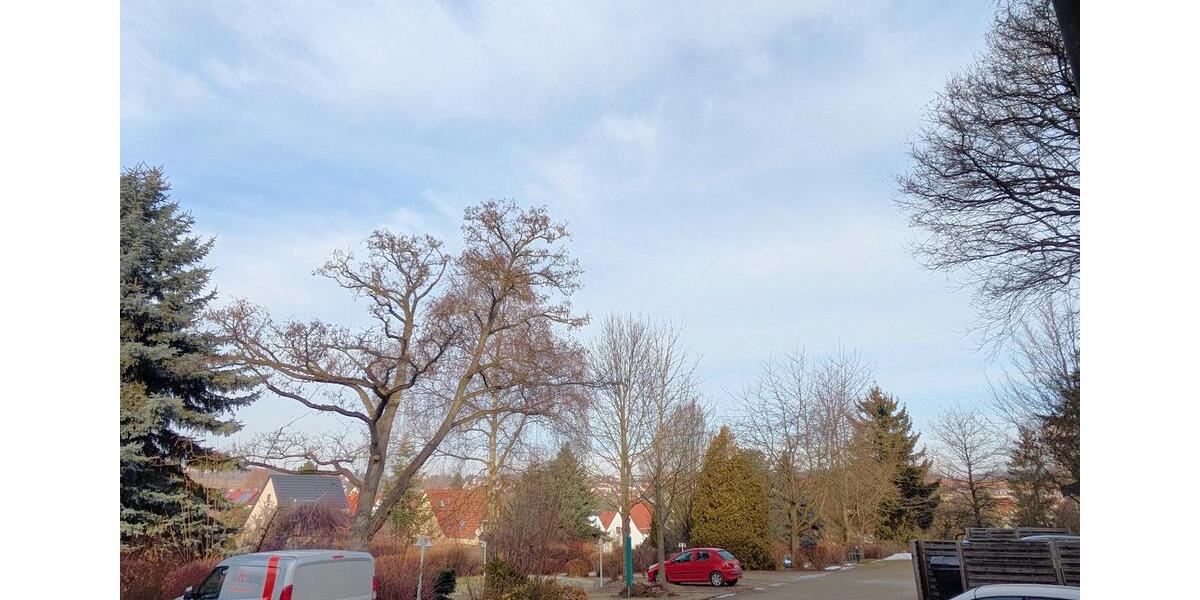 Erdgeschoßwohnung Zwickau Zwickau-West - 2 Zimmer, 45 m&sup2;, 290&euro; | Angebot:25000321