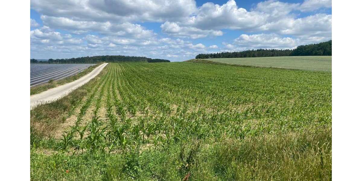 Grundstück Neustadt a.d. Donau - Mühlhausen Mühlhausen - 197.688&euro; | Angebot:26896524