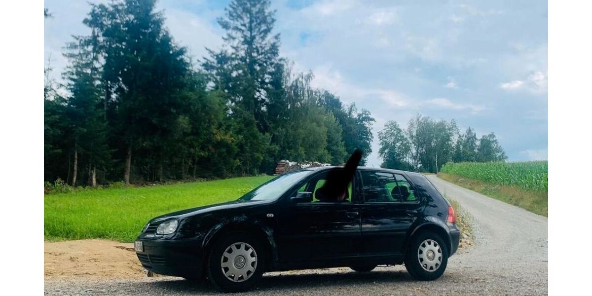 VW Golf 217.260 km 2.100 &euro; Obernzell 94130