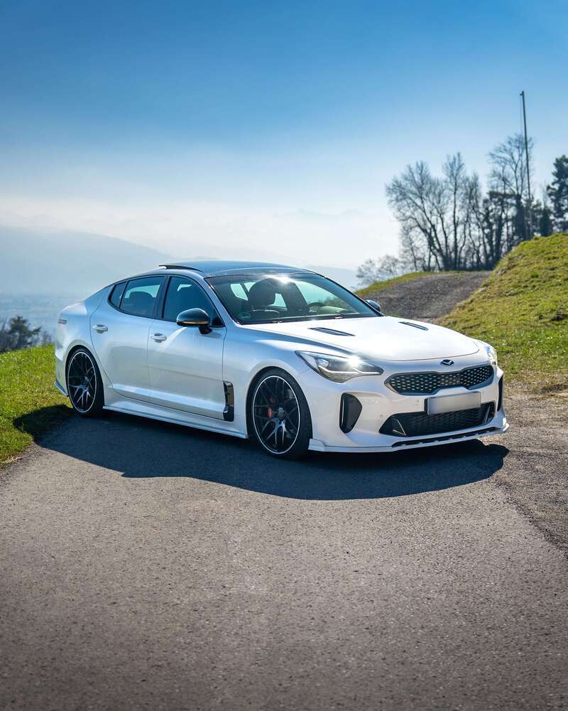 Stinger